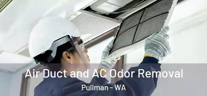Air Duct and AC Odor Removal Pullman - WA