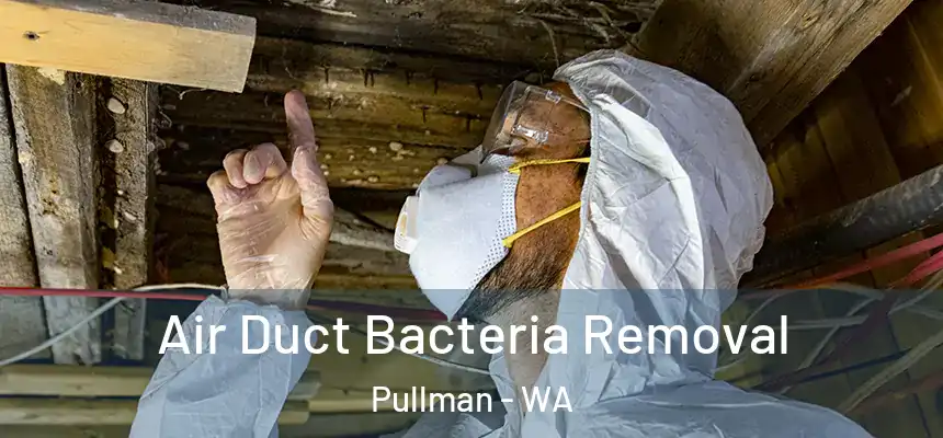 Air Duct Bacteria Removal Pullman - WA