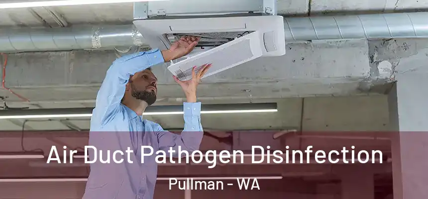  Air Duct Pathogen Disinfection Pullman - WA