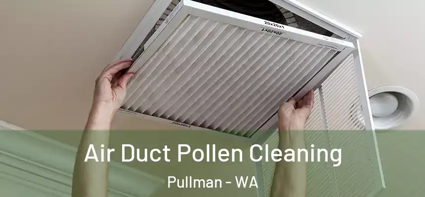  Air Duct Pollen Cleaning Pullman - WA