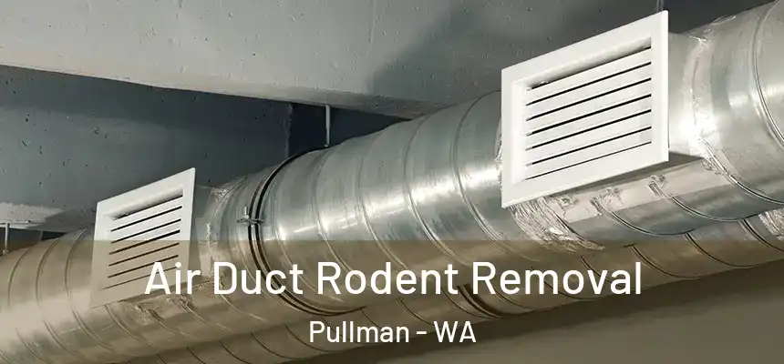  Air Duct Rodent Removal Pullman - WA