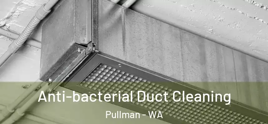  Anti-bacterial Duct Cleaning Pullman - WA