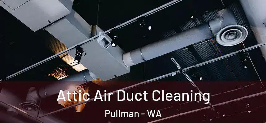  Attic Air Duct Cleaning Pullman - WA