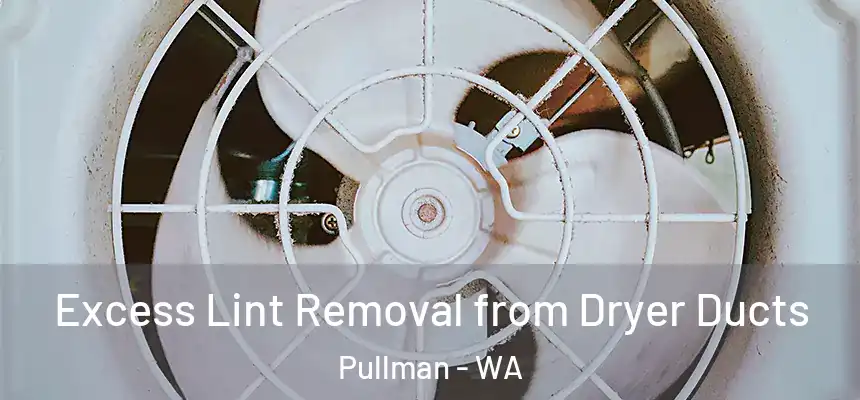 Excess Lint Removal from Dryer Ducts Pullman - WA