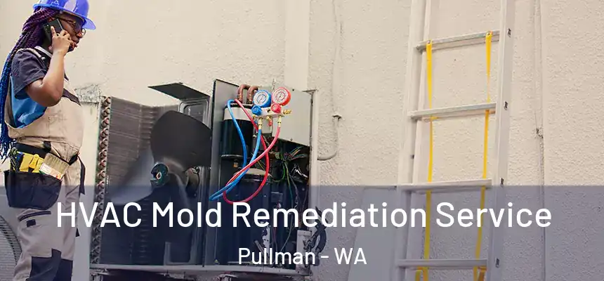 HVAC Mold Remediation Service Pullman - WA
