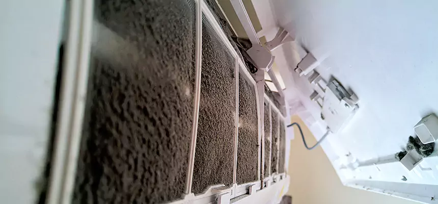 Preventive Air Duct Bacteria Removal in Pullman