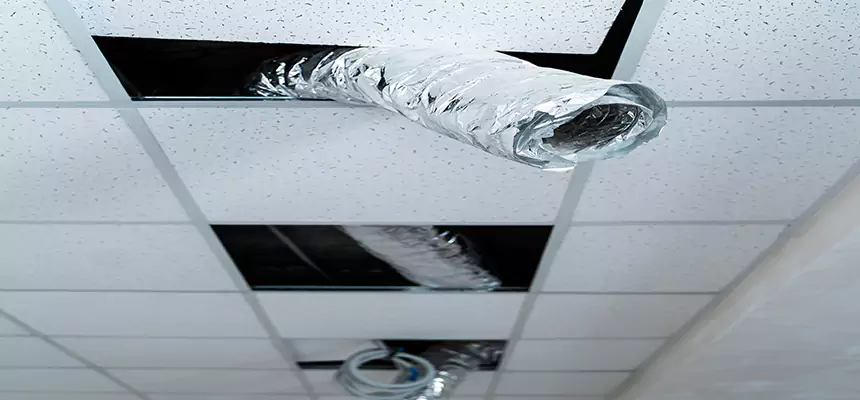 Our Air Duct Pet Hair Removal Services in Pullman, WA