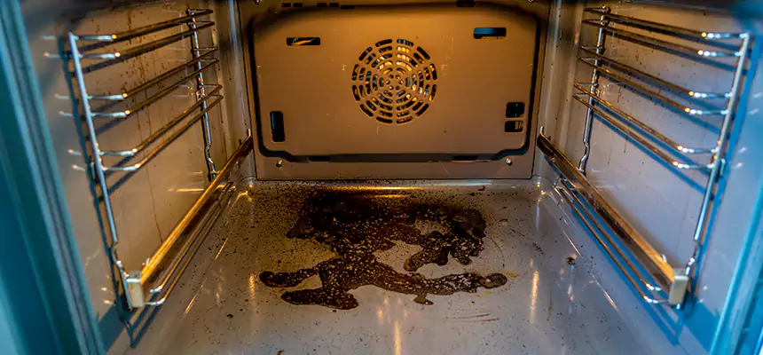 Our Dryer Vent Mold Cleaning Services in Pullman, WA