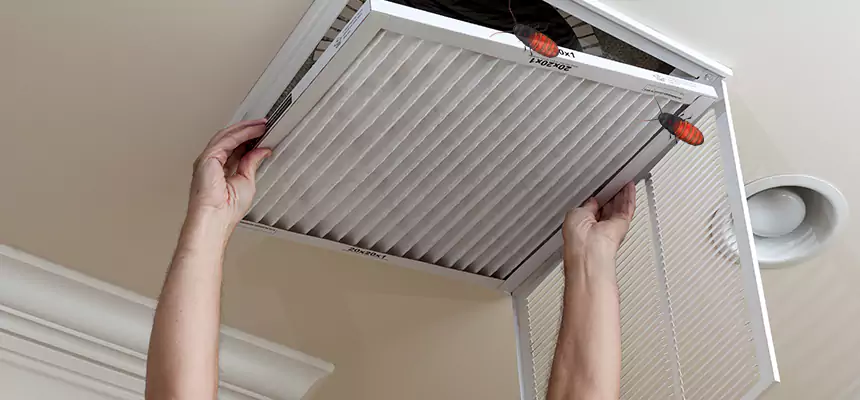 Our Insect Removal from Air Ducts Services in Pullman, WA