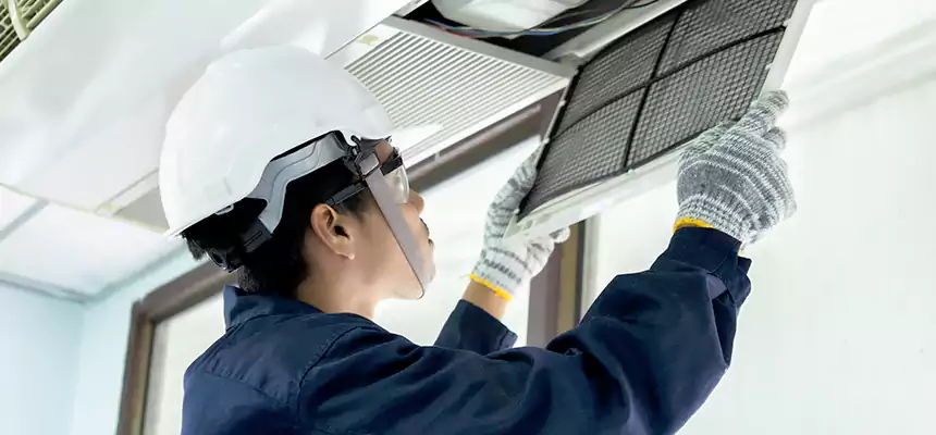 Our Mold & Mildew Removal from Air Ducts Services in Pullman, WA