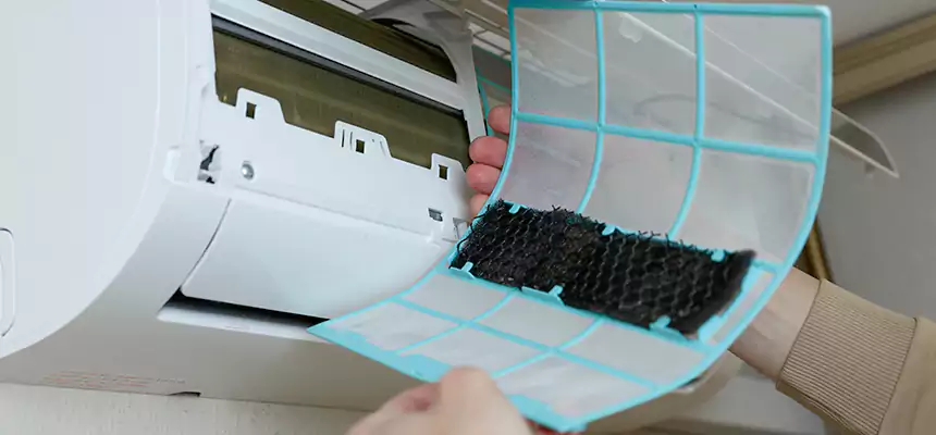 Gentle Ductwork Odor-Control Pet Dander Duct Cleaning in Pullman, WA