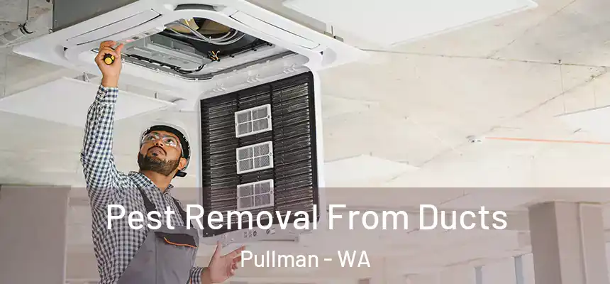  Pest Removal From Ducts Pullman - WA