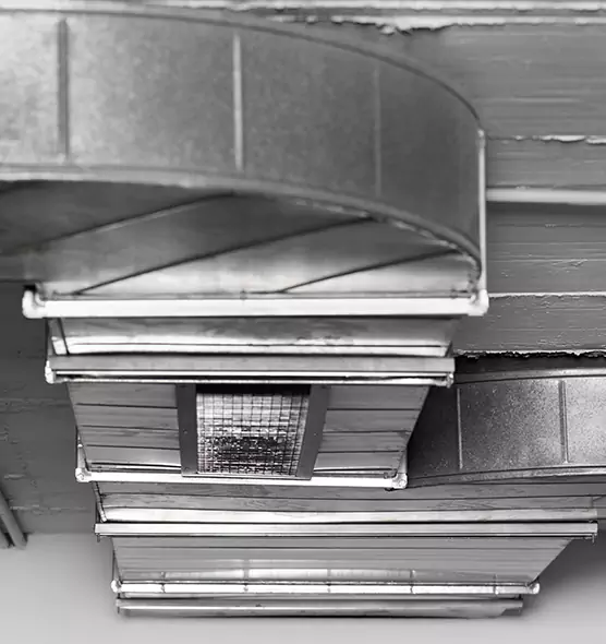 Professional Air Duct Pet Hair Removal in Pullman, WA