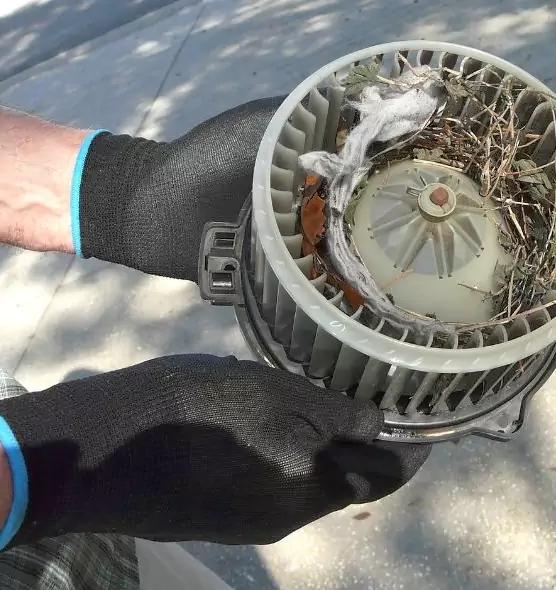 About Air Duct Rat Removal in Pullman, WA