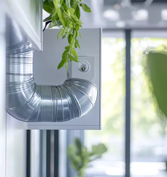 Professional Eco-Safe Dryer Vent Cleaning in Pullman, WA