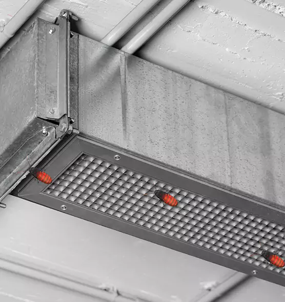 Affordable Insect Removal from Air Ducts in Pullman, WA