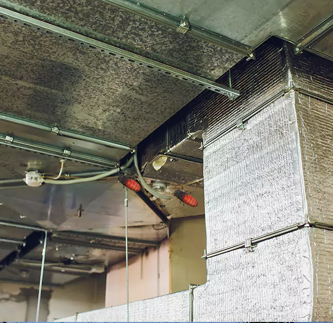 Why Homeowners & Businesses Trust Us in Pullman, WA?