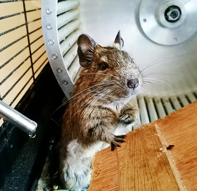 Why Homeowners & Businesses Trust Us Pullman, WA?