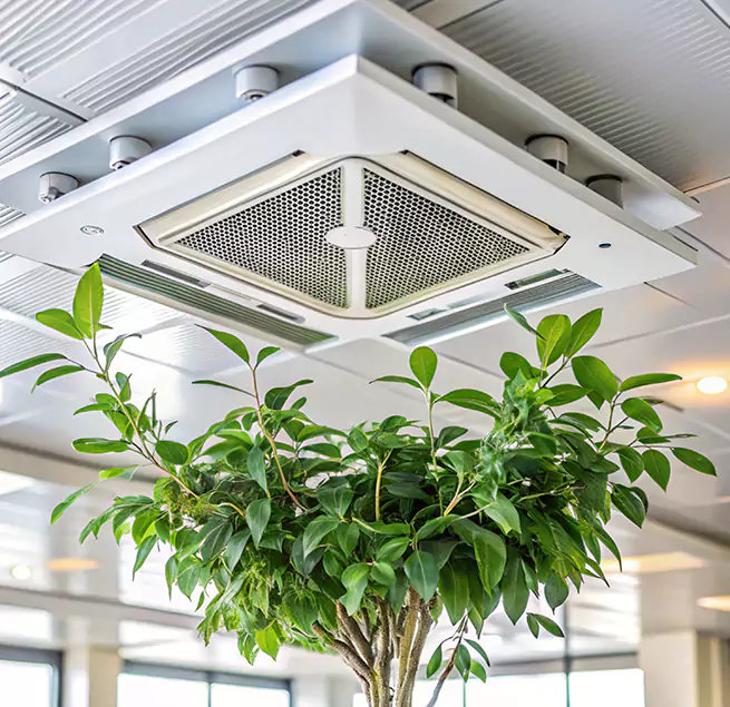 Why Homeowners & Businesses Trust Us in Pullman, WA?