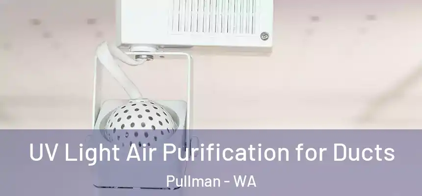 UV Light Air Purification for Ducts Pullman - WA
