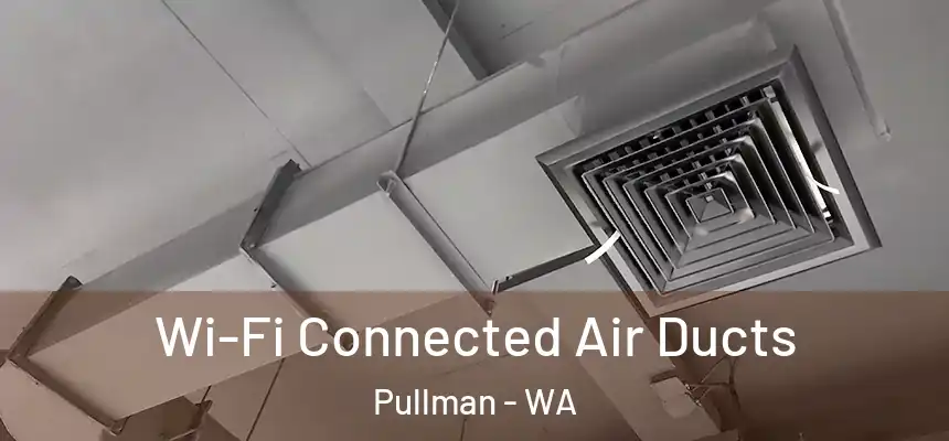 Wi-Fi Connected Air Ducts Pullman - WA